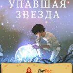 Упавшая звезда