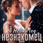 Незнакомец в Новый год, или Cудьба и на печке найдет