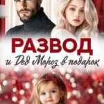 Развод и Дед Мороз в подарок