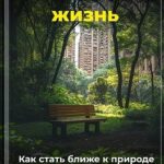 Осознанная жизнь: Как стать ближе к природе в большом городе
