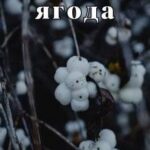 Снежная ягода