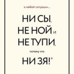 В любой ситуации НИ СЫ, НЕ НОЙ и НЕ ТУПИ, потому что НИ ЗЯ! Комплект книг, которые дают точку опоры