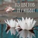 Из цветов и любви