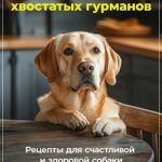 Кулинария для хвостатых гурманов: Рецепты для счастливой и здоровой собаки