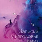 Записки у изголовья. Книга 2