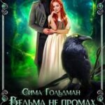 Ведьма не промах, или Берегись, темный лорд